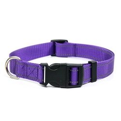 Purple nylon dog collar
